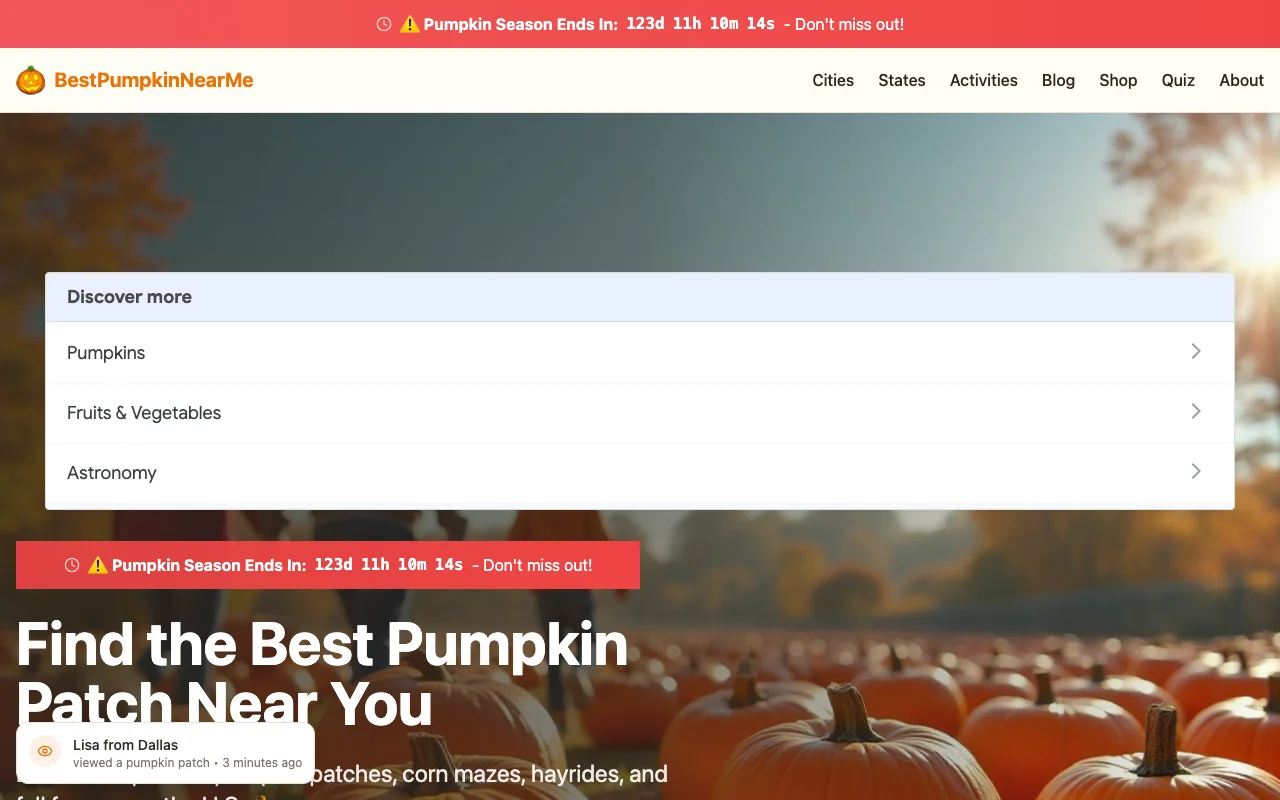 Best Pumpkin Near Me homepage
